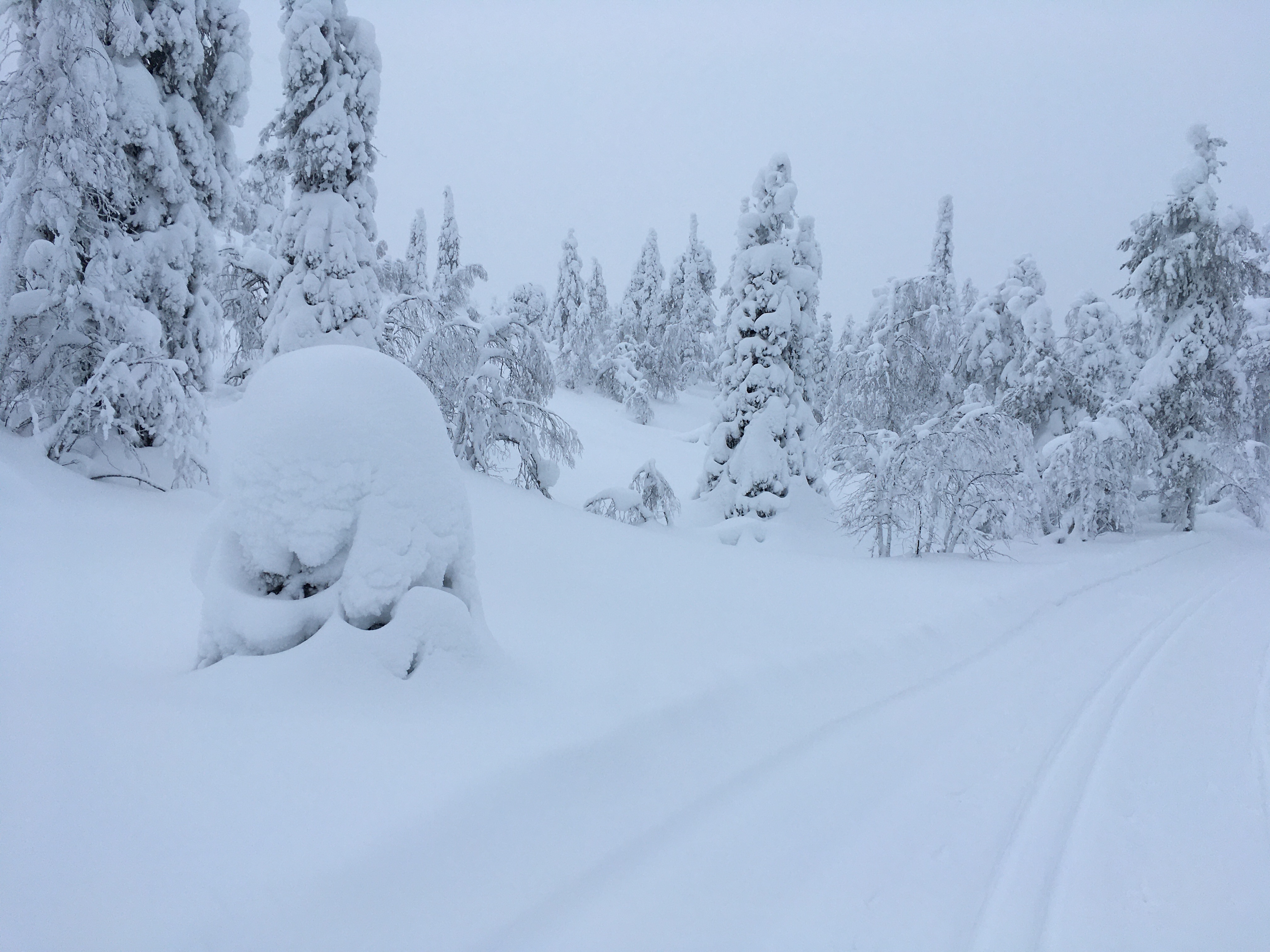 Snowy photo from the area in March 2022